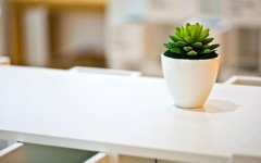 網(wǎng)站建設(shè)期間需要考慮哪些客觀因素